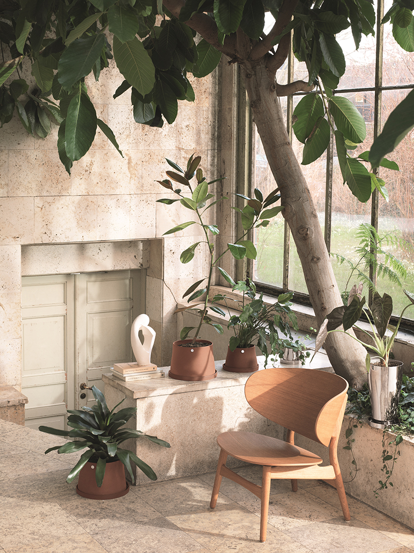 Rehome Your Plants With The Terra Collection