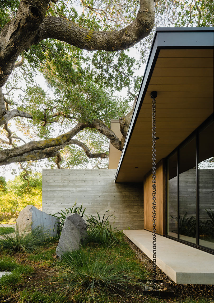 The Sanctuary House Floats Above Ground To Preserve Trees