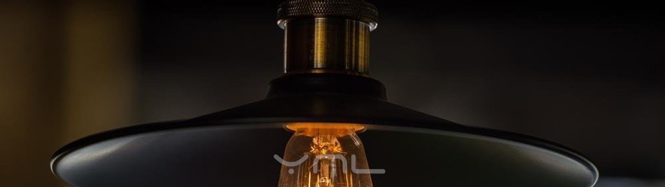Retro Edison Light Bulb Filament Incandescent Bulbs