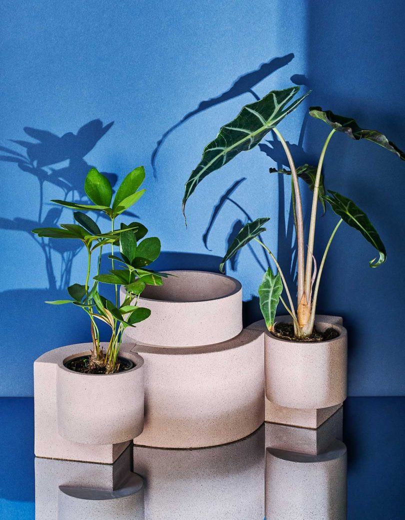Tortuga Introduces Platform Vessel Collection For Indoor + Outdoor Gardening