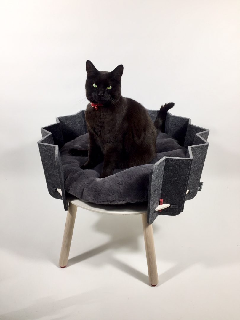 Pets And Pods Makes Modern Pet Furniture Cozy + Functional