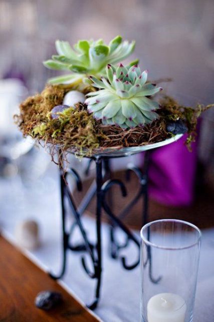 How To Display Succulents: 59 Cute Examples