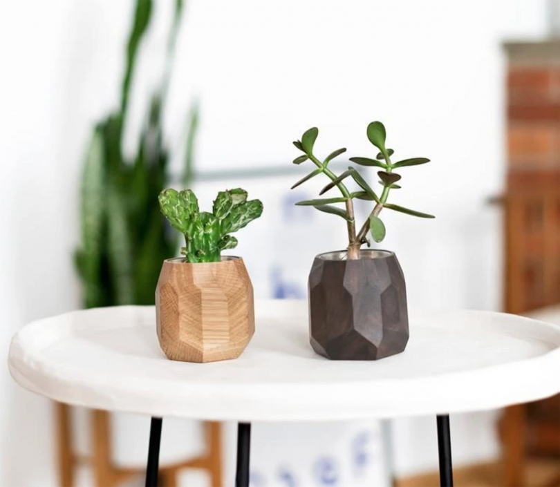 two wooden planters with succulents